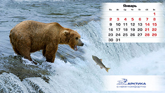 ����-��������� ��� �������� �����